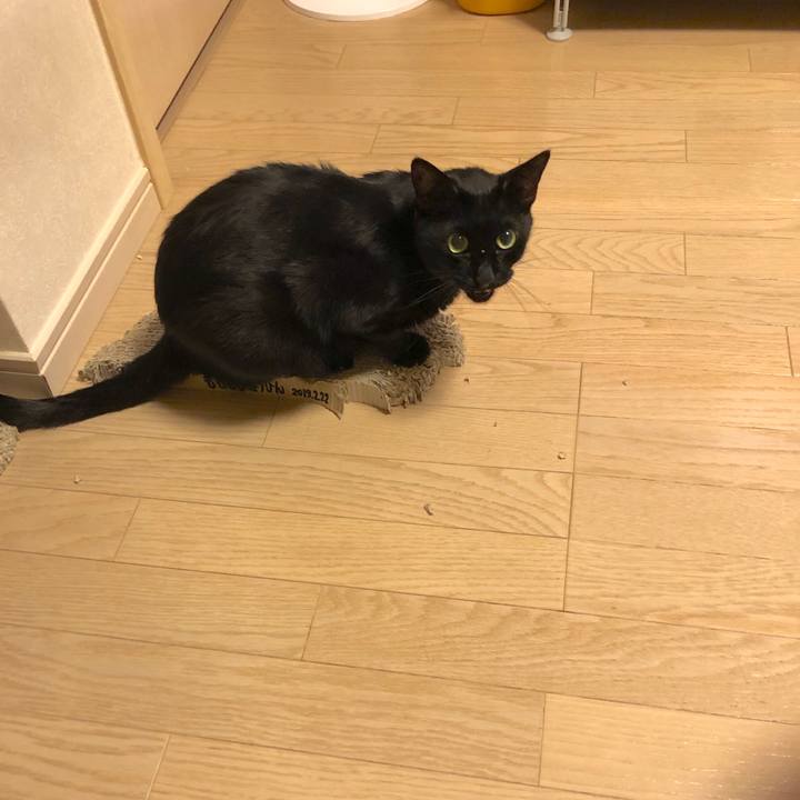 59986527 85fe 47f0 8736 6ad802e17dea 1564661243327