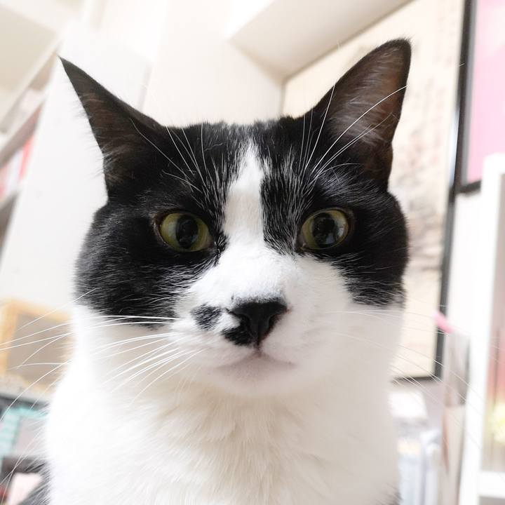 59987ea5 29ea 4716 86ff 756cae9df7ef 1578412548051