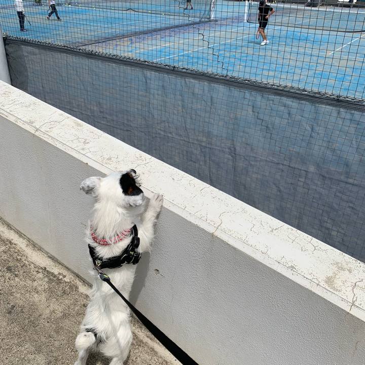 5998acea 801c 4c93 93ce e899aee7760a 1557624369209