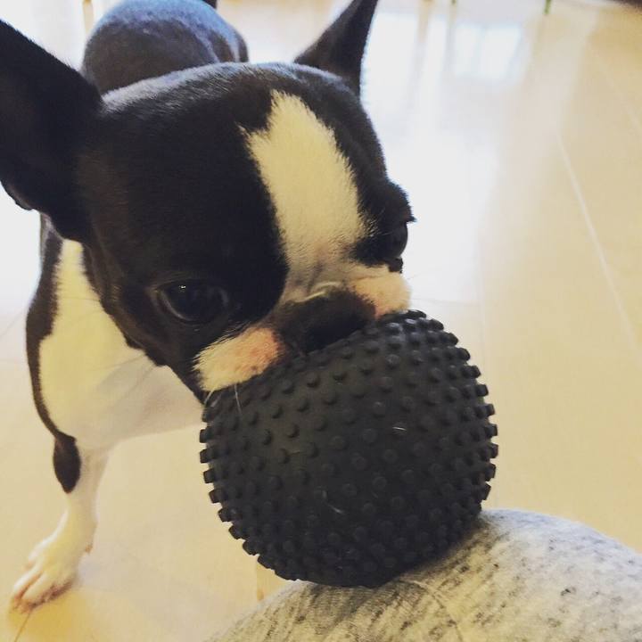 5998c241 efc1 41b2 ba74 b926cc29ad99 1519797719944