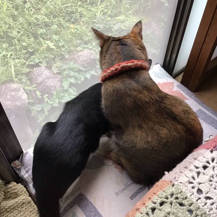 5998d6e9 a0aa 42e6 bfbe f7872cc92e8e 1632300527246