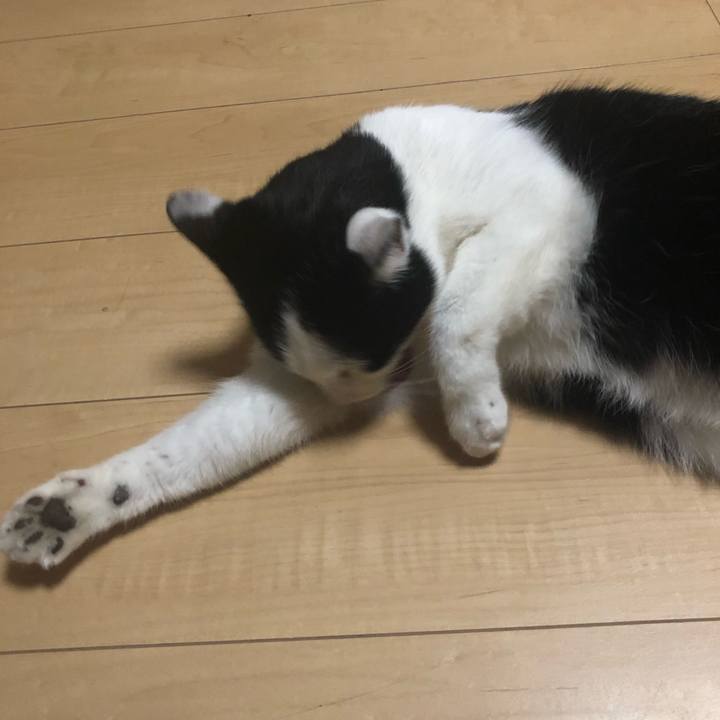 5999044a e1f9 46d4 b852 7c339bf836c7 1573484307175