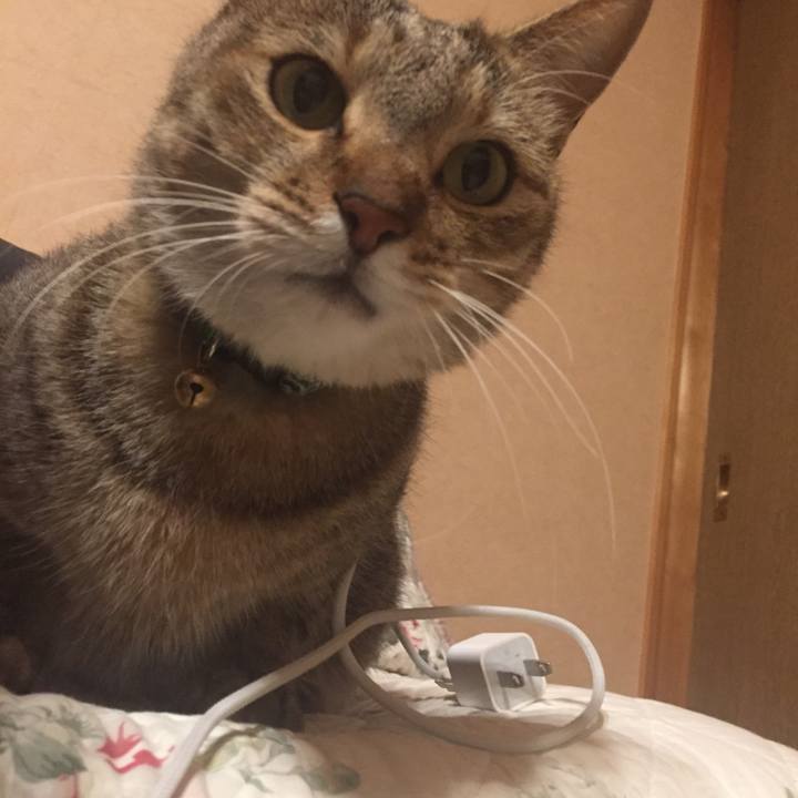 59991e96 82db 4f0c 9f90 71c3a4b068e8 1545146031609