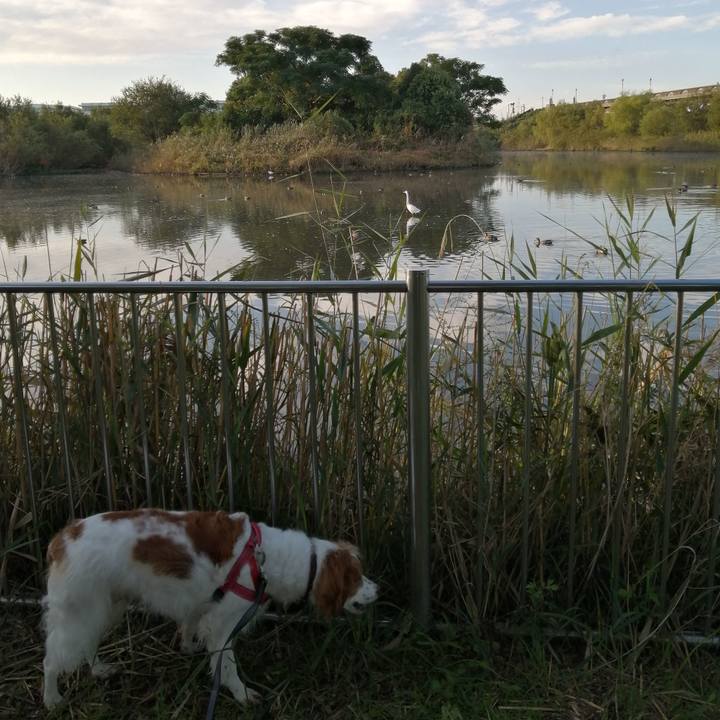 59992a45 f6d1 4967 a7ba c30fc3842ee2 1572652470167