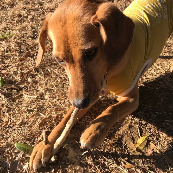 59993166 fb3f 4bce b290 31a864492954 1550211750139