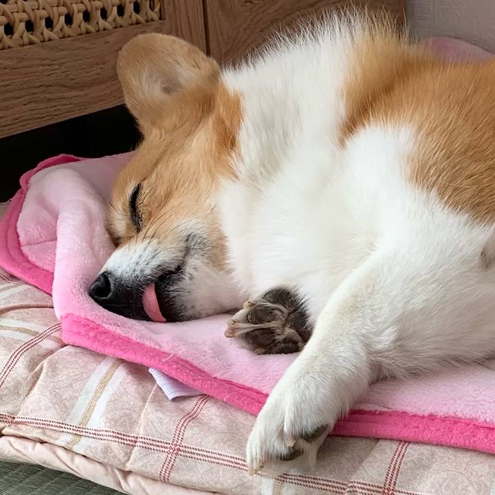 599980a3 8bc4 4de5 a48e 8b74644b020d 1676441580678