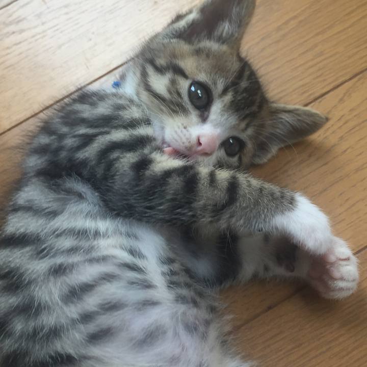 599988ca c64f 4254 b48c 5ecd4510fb7e 1652336203823