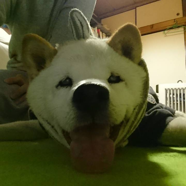 599990cc 45b0 4541 8c5b bf4dce682695 1511924551580