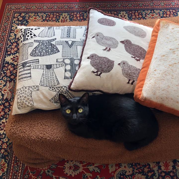 599999a2 bd48 421c bafa aca011daefb4 1552366639382