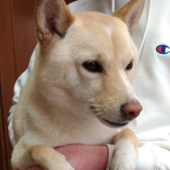 5999a35b 3bbf 4674 9c2e fe8db0f9d041 1552183455952