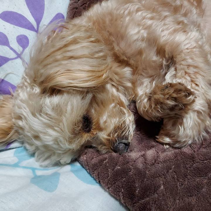 5999ce0b 69c6 4735 8473 95dc70a4c781 1642766395099