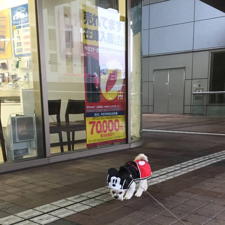 599a1bbf 37d2 471c 9361 e0c571a5ee8c 1509255293766