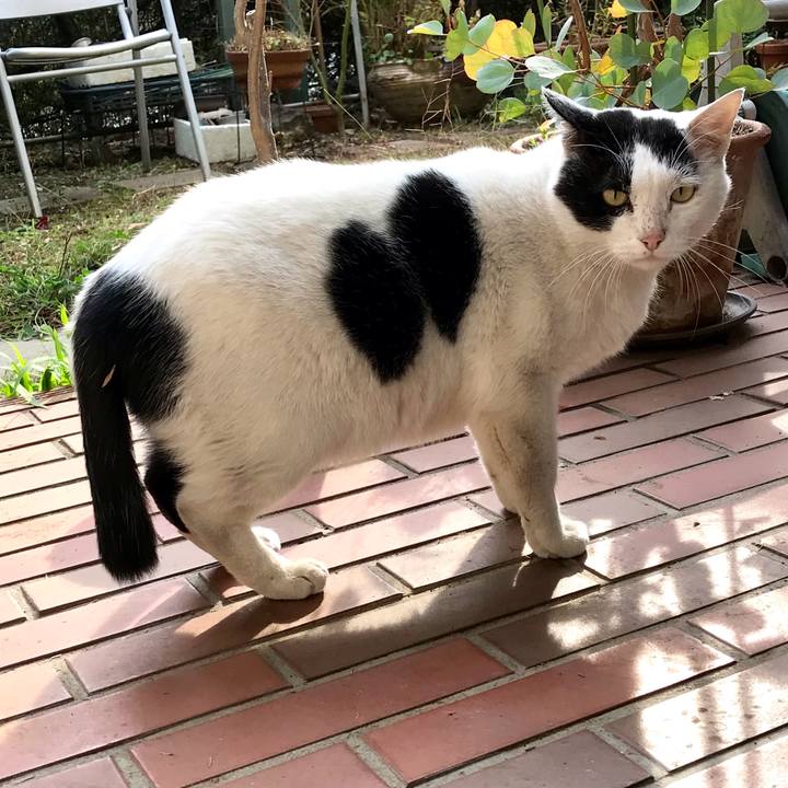 599a4ef5 6e68 4c99 843e 0fb297eaa574 1609243847023