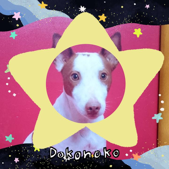 599a8ab2 db5c 4915 ad61 e42d41fd6e0b 1720788210945