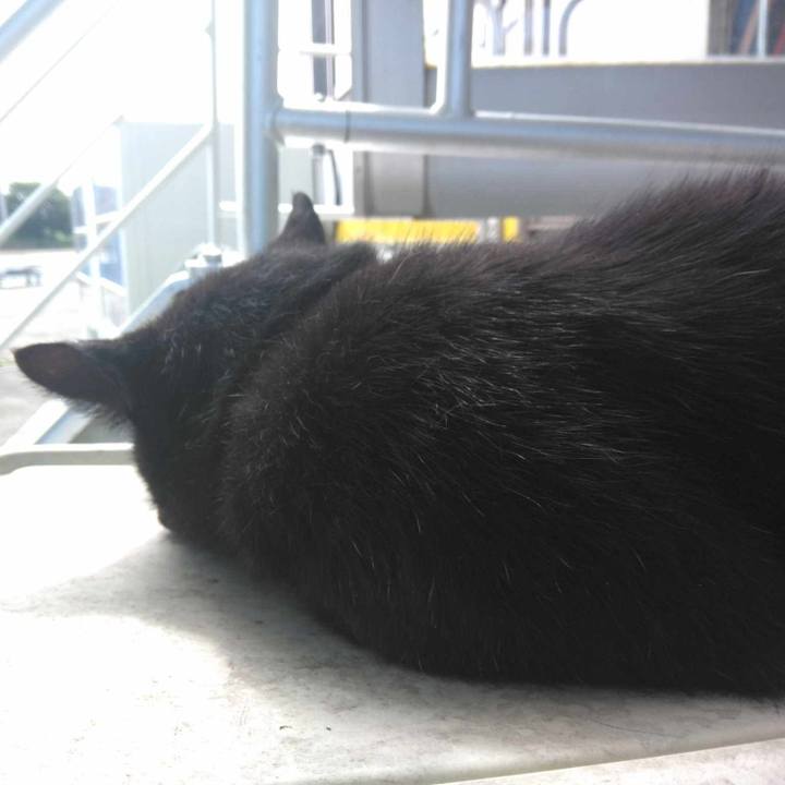 599a8b27 55a1 4bc2 a029 aacfd40d22ea 1716341268141