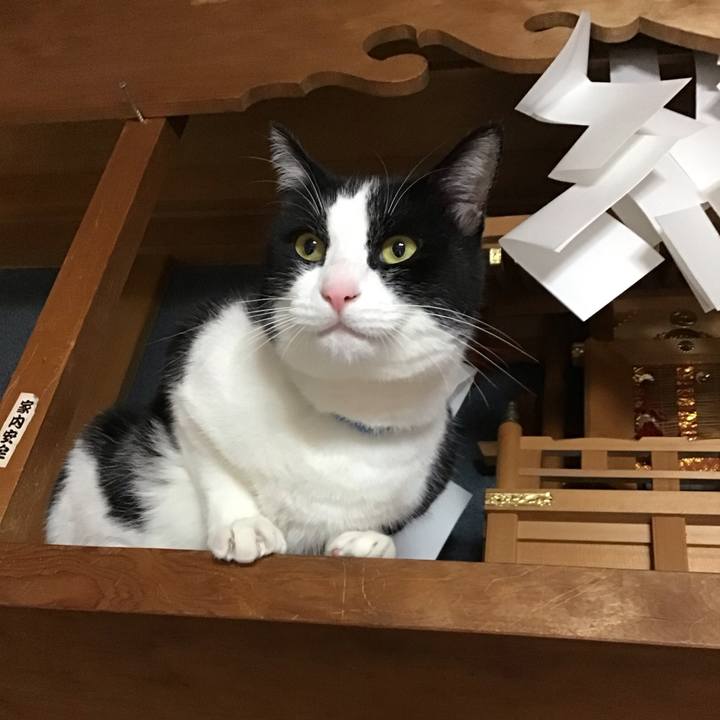 599ab45b 37a3 4756 8deb 4e54d8ce4d0b 1677313370081