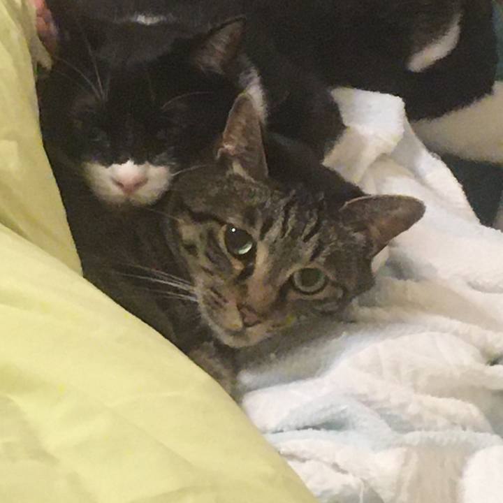 599ad572 ea8e 4dab b0e2 aab296101095 1592797704541