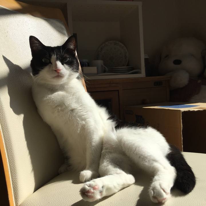 599af2a4 e7c6 40dc 8691 aa991c8048db 1549938740932