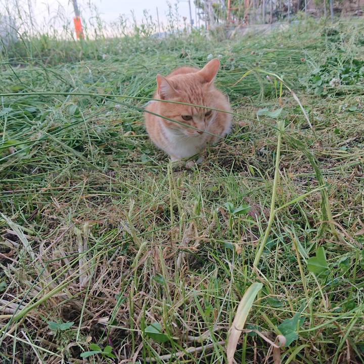 599af423 7ccf 4439 a760 a4b4d75ef6dc 1591444731545