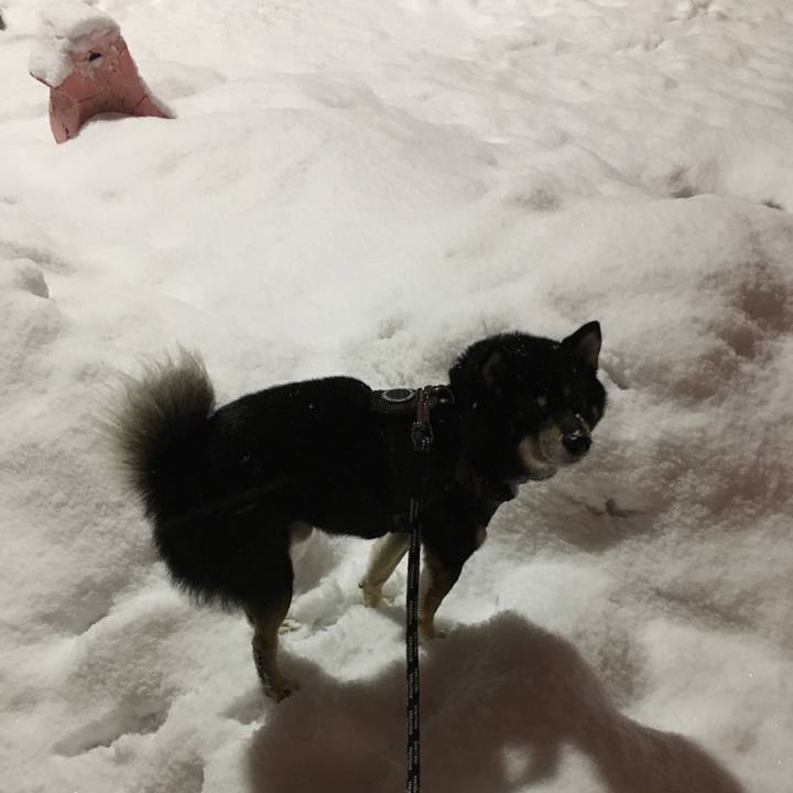 599b0d27 47e1 4dbb 820f 6292d7509807 1511564566608