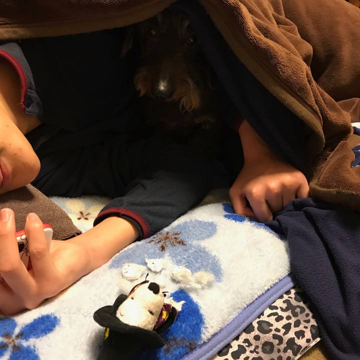 599b16c2 2232 4ead bb6c 27c2a8475c2b 1517326480439