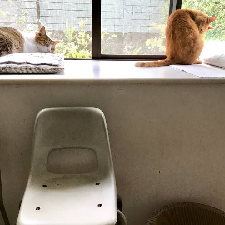 599b2d1a 0acd 494e b6a9 e26d79629e79 1561005061557