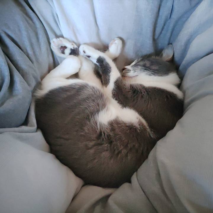 599b61ee 0483 42cb ac1f e0ea00330153 1670111139364