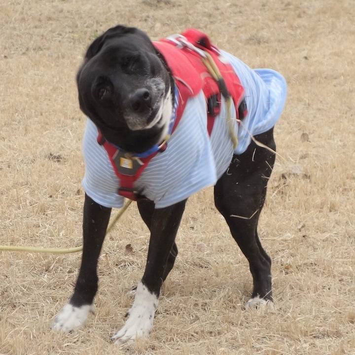 599b6564 5ea0 4729 a0ef 2531d5daa19b 1674351436654