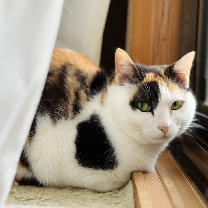 599b8aaf 9b70 4ac9 bd95 362fc8b20c8e 1715130792146