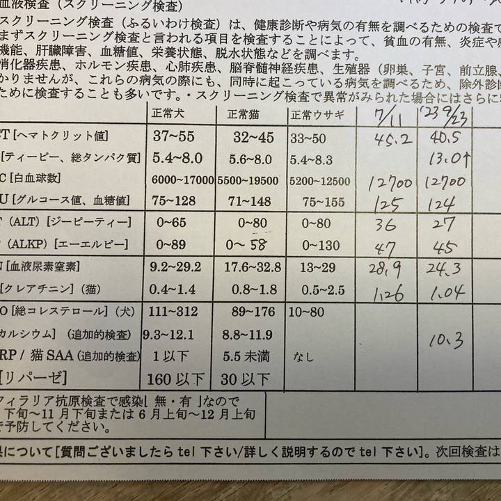 599baadf 3ad0 4ebe 9c97 81debd0cdbb5 1697944573209