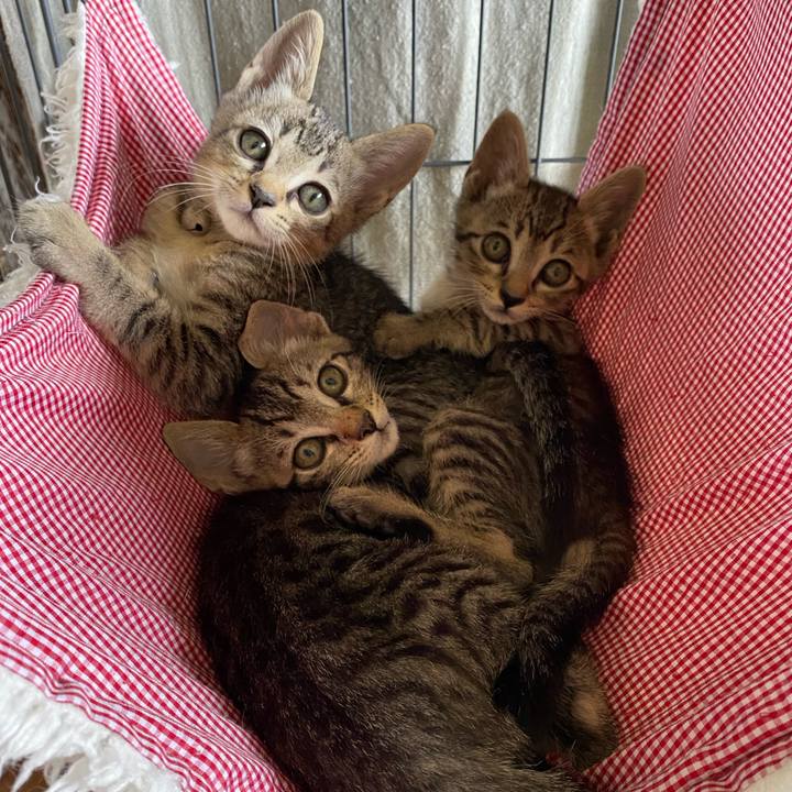 599bd824 2477 4bb7 9238 9c85a192fe48 1720414022733