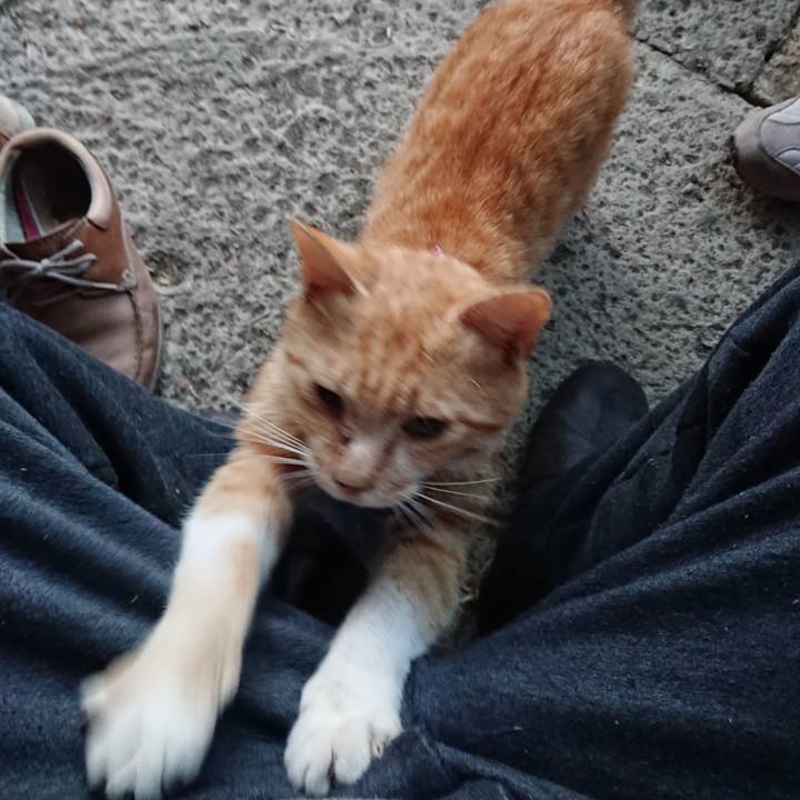 599c05b3 6bd8 4f02 bf99 2b061daf11ec 1558900288147