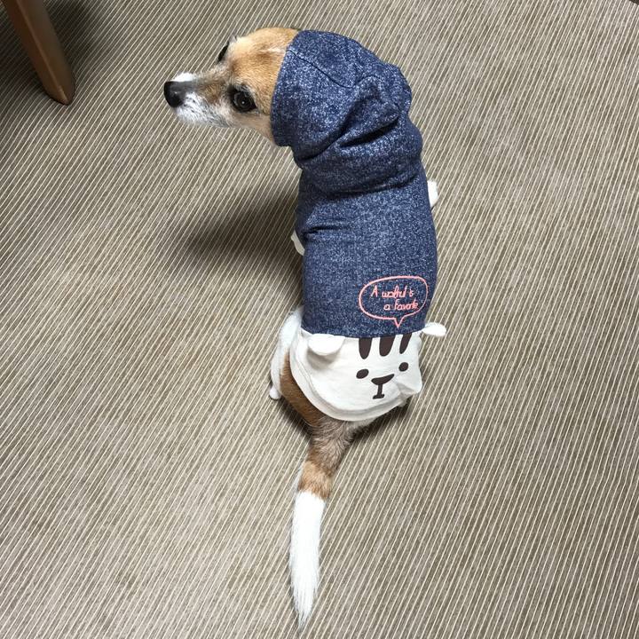 599c487f 9f46 461b 8e4d 3fb44f9550ec 1574300712087