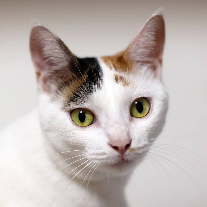 599c5a64 79a8 4d7b a21a 59ccd68e0e23 1566736884617