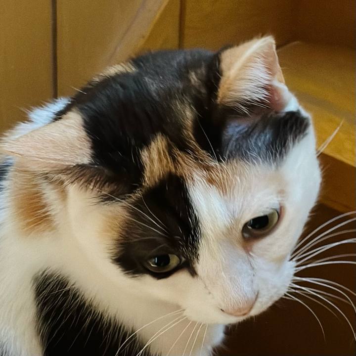 599ca688 9a2f 4284 a239 fbbe3beb8f13 1680313243181