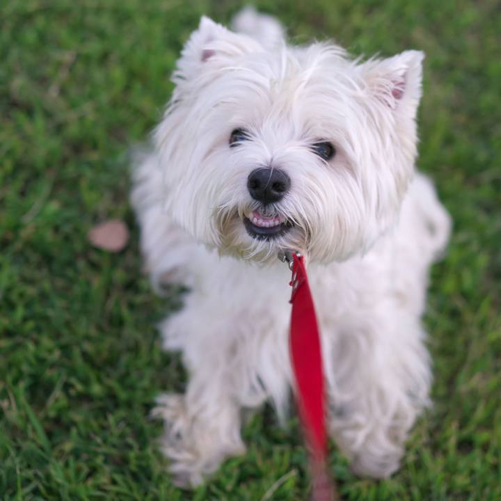 599cacb8 323a 4512 bb06 34c23e411521 1532952050074