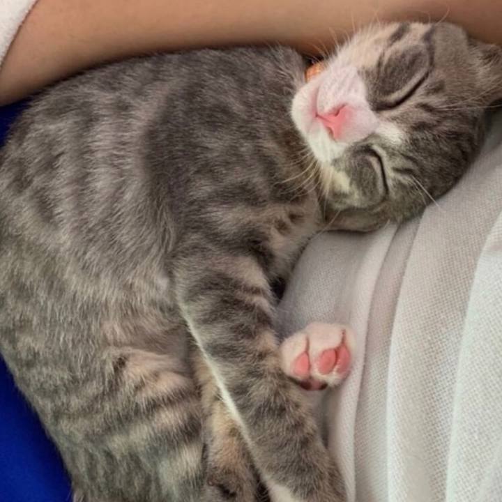 599cbee7 cc1b 4928 80cd 751482f826d8 1567395388330