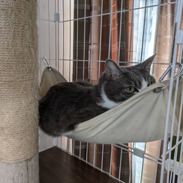 599cef4c 36d1 45fb b79d 182a56c0eb59 1728803789769