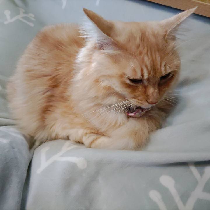 599cfbe5 c3f0 450f bc37 f69fa07eb094 1667630205103