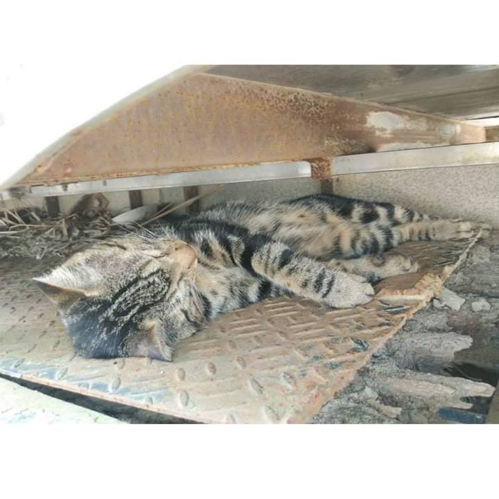 599d0048 1ee1 4b2c aa09 5c936fa93a8b 1630055231615