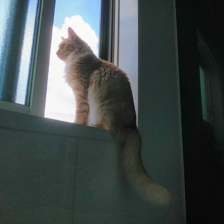 599d46d0 9c16 4c09 a6bb 2389dd054a9f 1627021421752