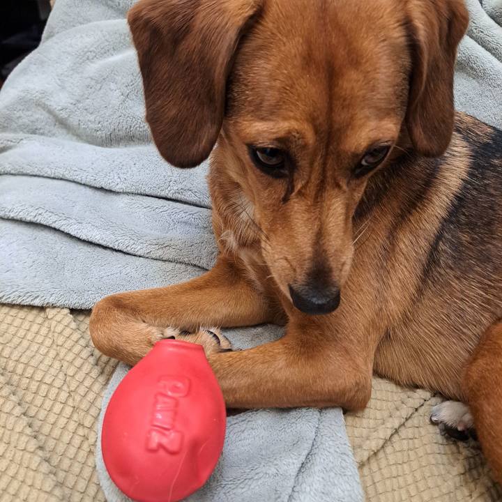 599d7b46 0728 4b06 9c34 a6a47d287388 1762989157706