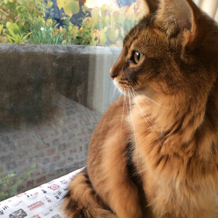 599d8922 b458 4928 a7c7 b864bf354130 1606860974916