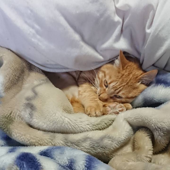 599d8db9 1135 4015 a1e1 cd7d8e37d016 1654118585094