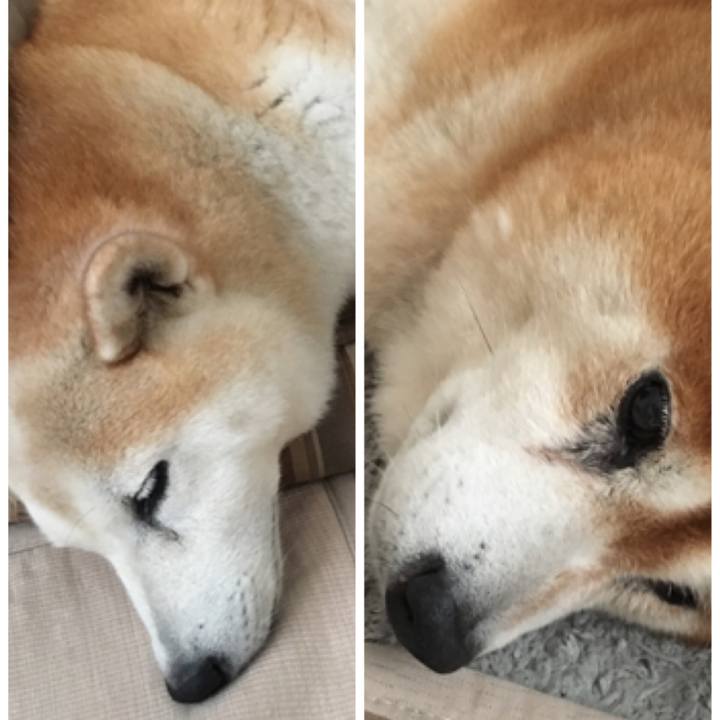 599e4a8b 0fa7 445a aafa 2a43ba87d56a 1534655257482