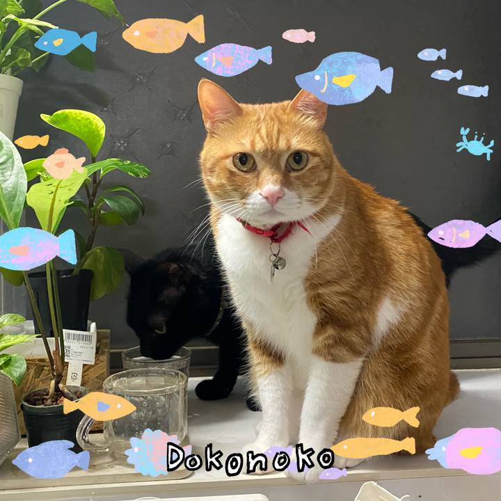 599e4f10 ee54 48eb a1d4 3acf754dcbe0 1755356685449