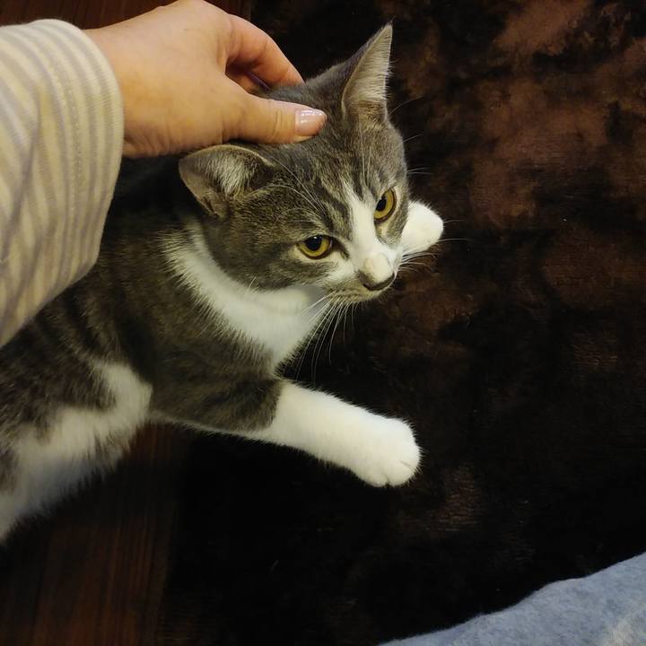 599e962e 89c7 4d29 a8a1 dbd937333fca 1572313422702