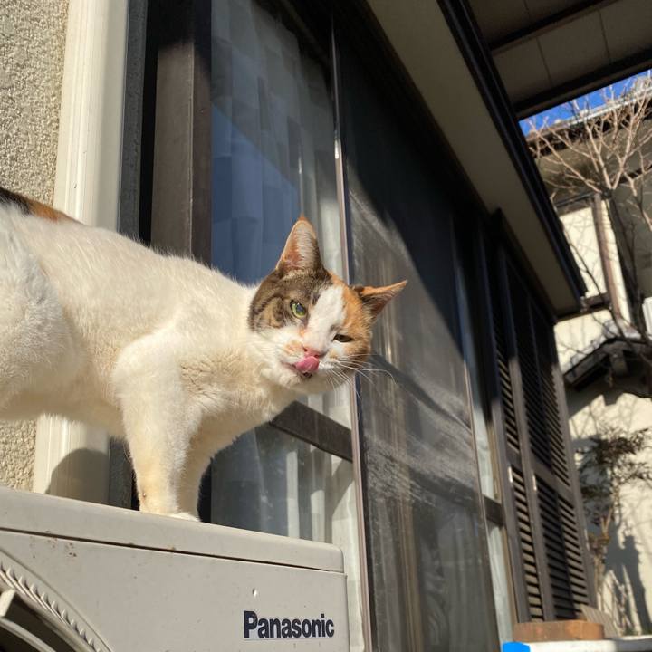 599ec8b0 37ce 44a1 898f 96de72644374 1643297487597