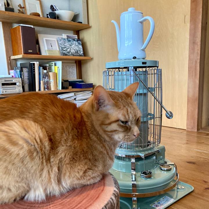 599f81b3 f4d3 4c27 8f84 7bae98ff41fd 1644735476752