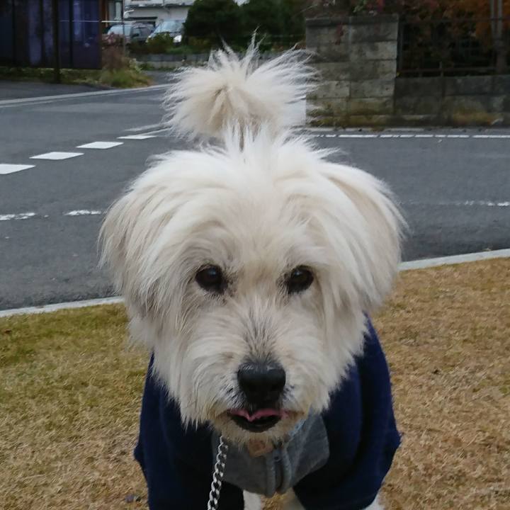 599fd805 e3ed 4868 a04d 3c5f35524a35 1574062583735